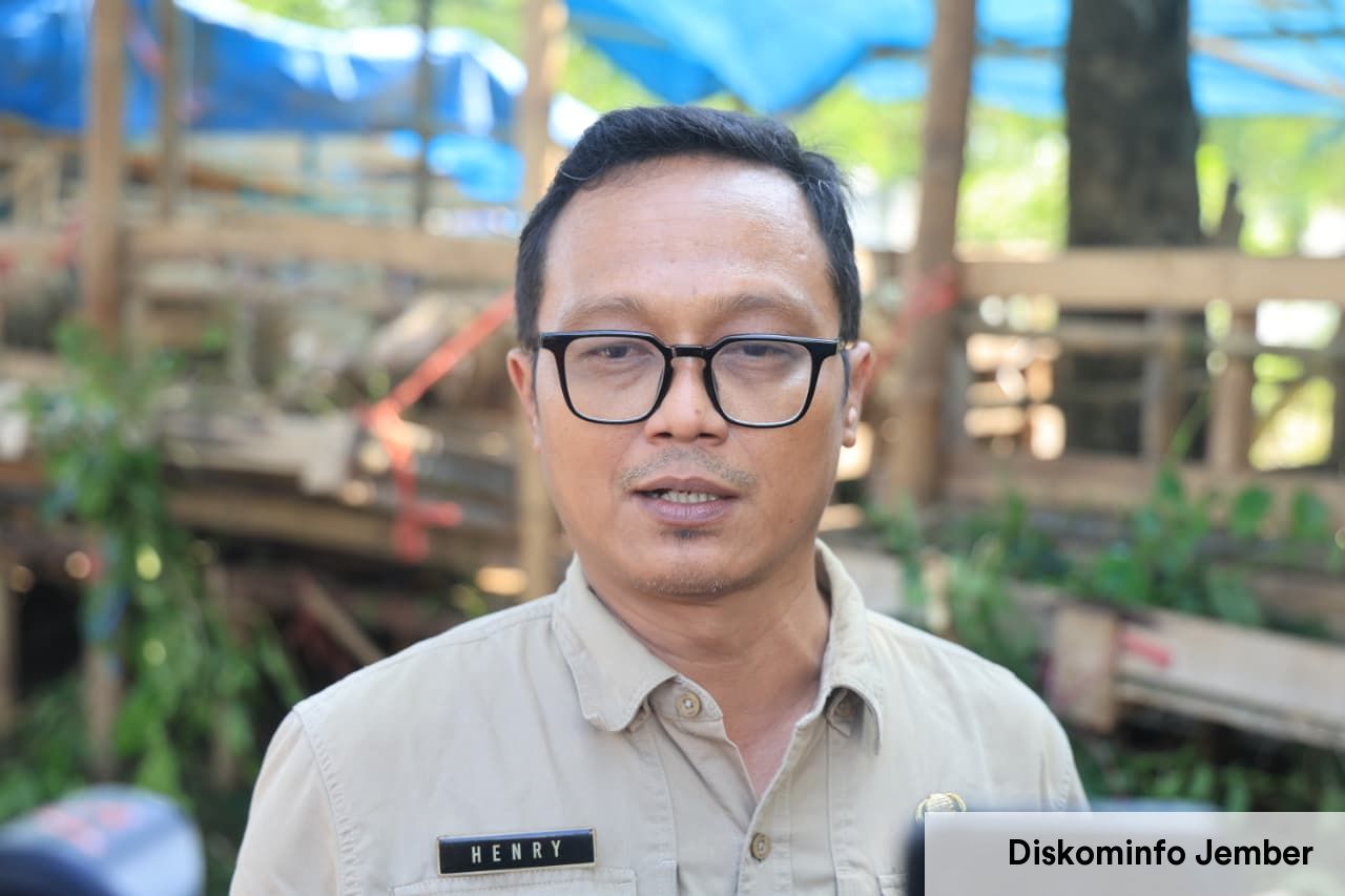 Jelang Idul Adha, Dinas Peternakan Jember Perketat Skrining Kesehatan Hewan Kurban