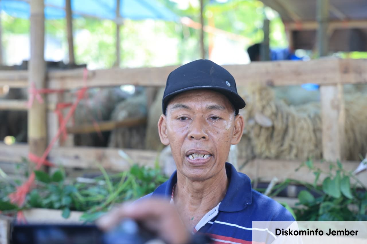 Berkah Idul Adha bagi Ali, sang Penjual Musiman