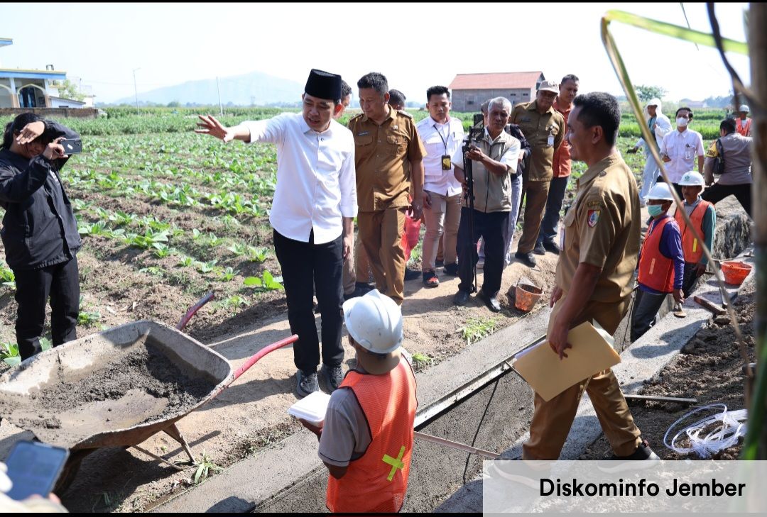 Tinjau Perbaikan Saluran Irigasi di Wonojati, Gus Fawait Targetkan Optimalisasi 7.070 Hektare Lahan Pertanian Jember pada 2026